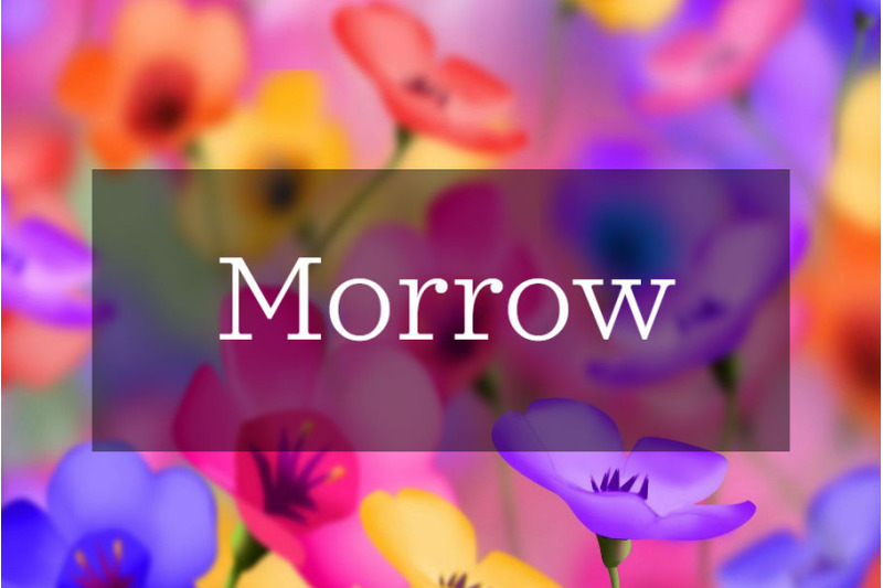 morrow-font