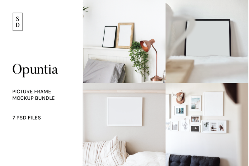 Free Frame Mockup Bundle - Opuntia (PSD Mockups)