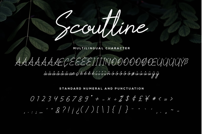 Scoutline Font By Signatoro Thehungryjpeg Com