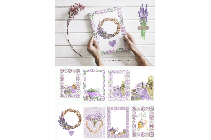 lavender-story