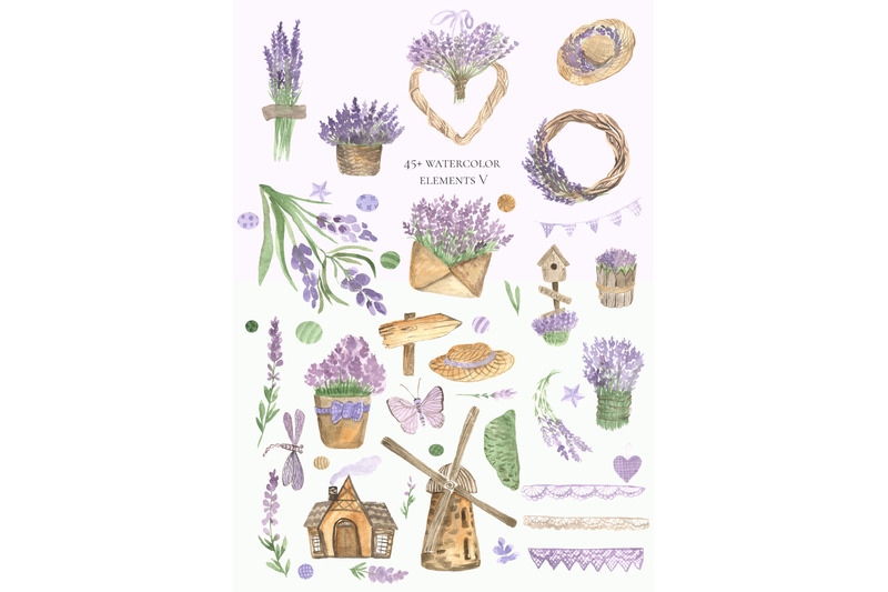 lavender-story