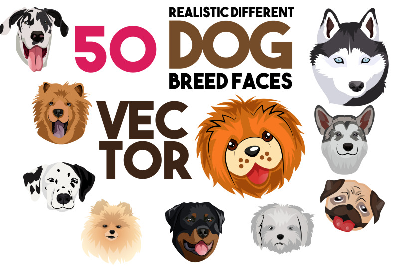 50-x-realistic-different-dog-breed-faces-illustration