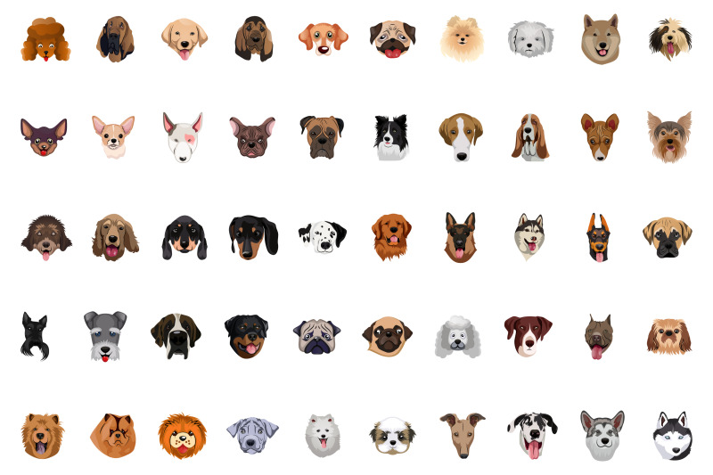 50-x-realistic-different-dog-breed-faces-illustration