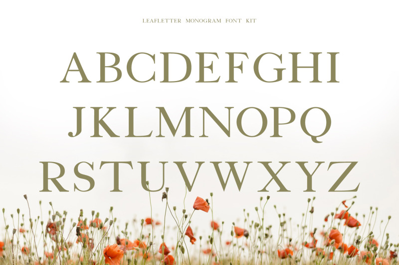 leafletter-monogram-font-kit