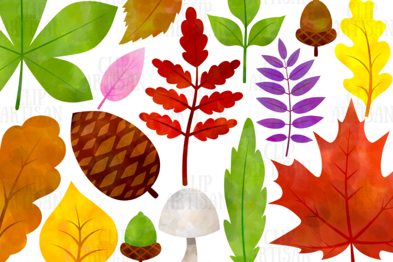 watercolor-fall-leaves-clipart-autumn-floral-clip-art