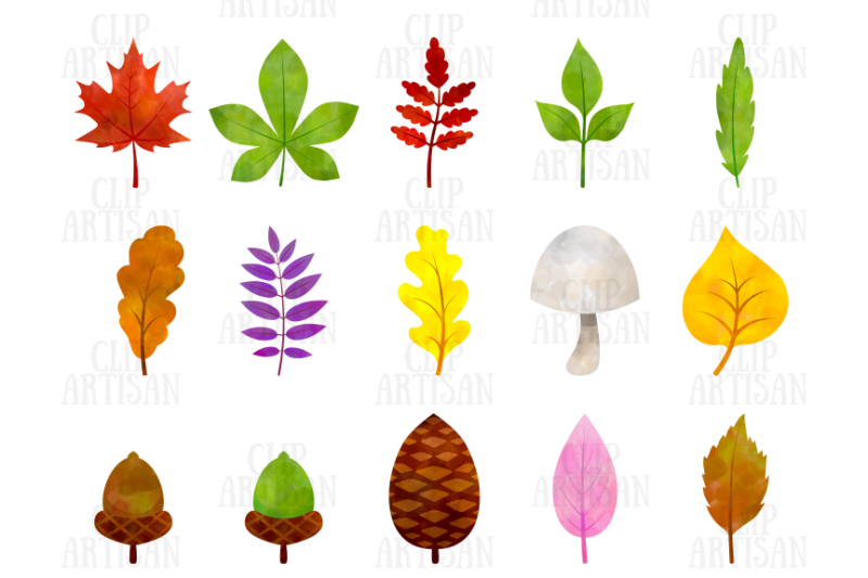 watercolor-fall-leaves-clipart-autumn-floral-clip-art