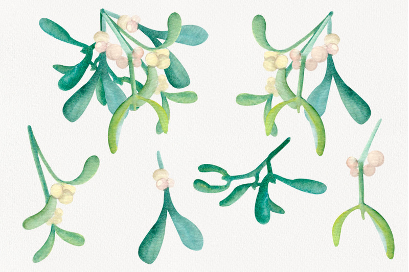 mistletoe-watercolor-clipart