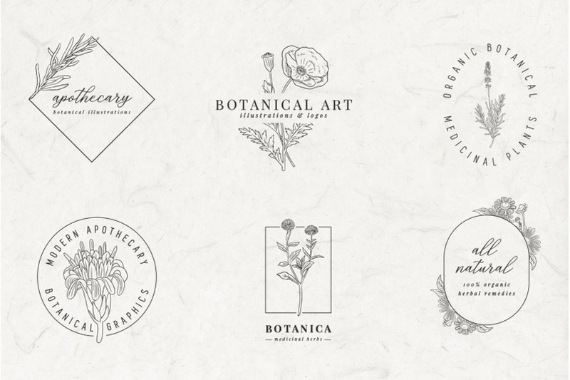 botanical-apothecary-clipart-amp-logos