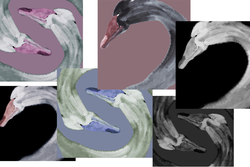 watercolor-bird-swan
