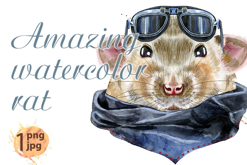 watercolor-portrait-of-rat-with-biker-sunglasses-and-splashes