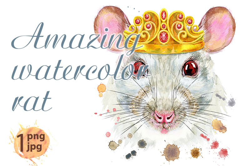 watercolor-portrait-of-white-rat-with-golden-crown-and-splashes