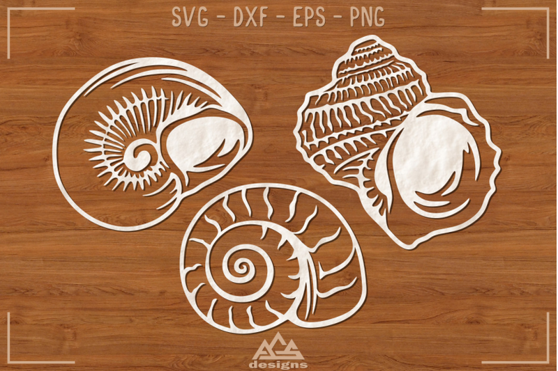 sea-shells-packs-svg-design