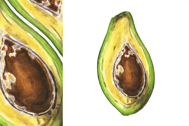 avocado-hand-drawn-watercolor-illustrations