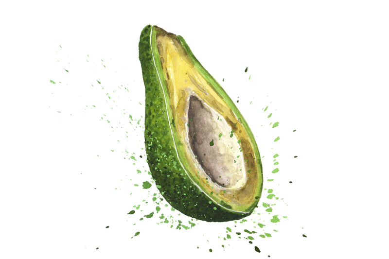 avocado-hand-drawn-watercolor-illustrations
