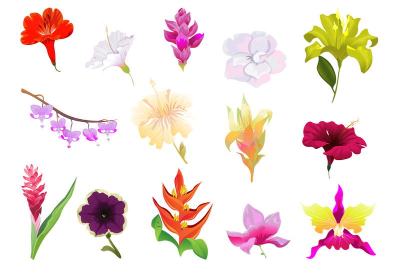 flowers-tropical-illustration-pack-watercolor-png