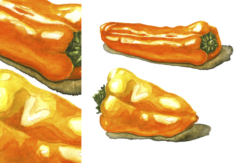 mini-peppers-hand-drawn-watercolor-illustrations