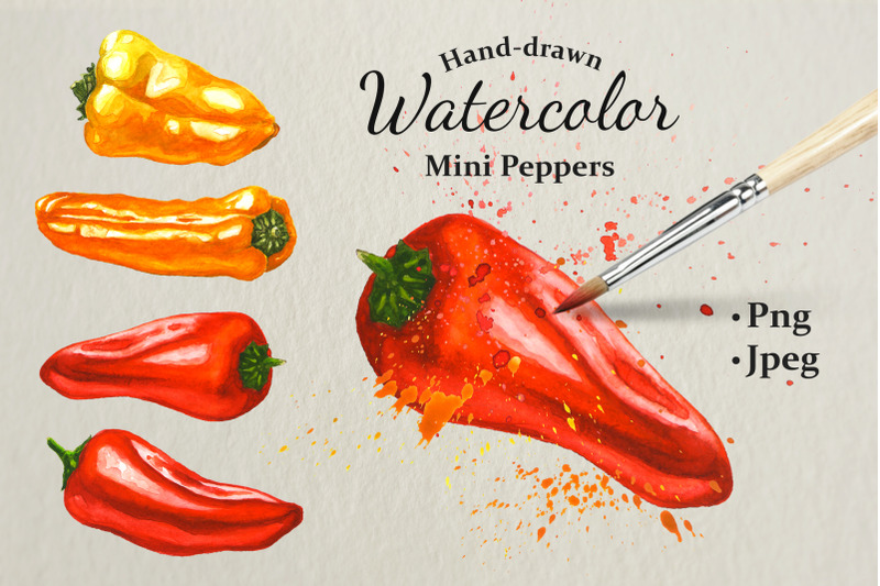 mini-peppers-hand-drawn-watercolor-illustrations
