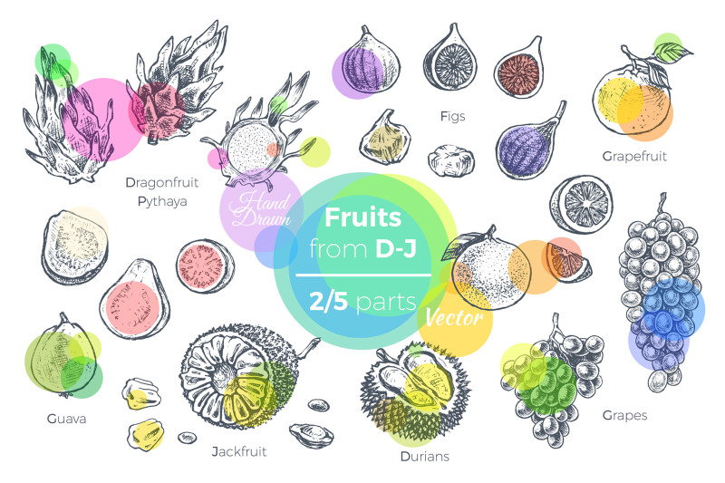 fruits-hand-drawn-vector-icons-set