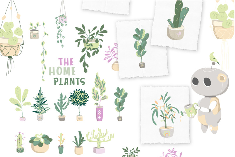 simple-future-home-plants