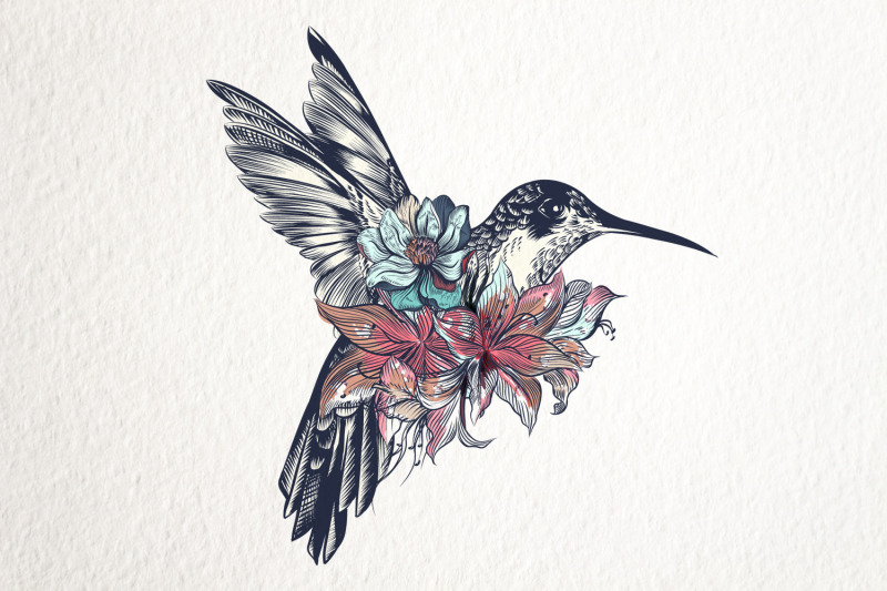collection-of-vector-hummingbirds-vol-1
