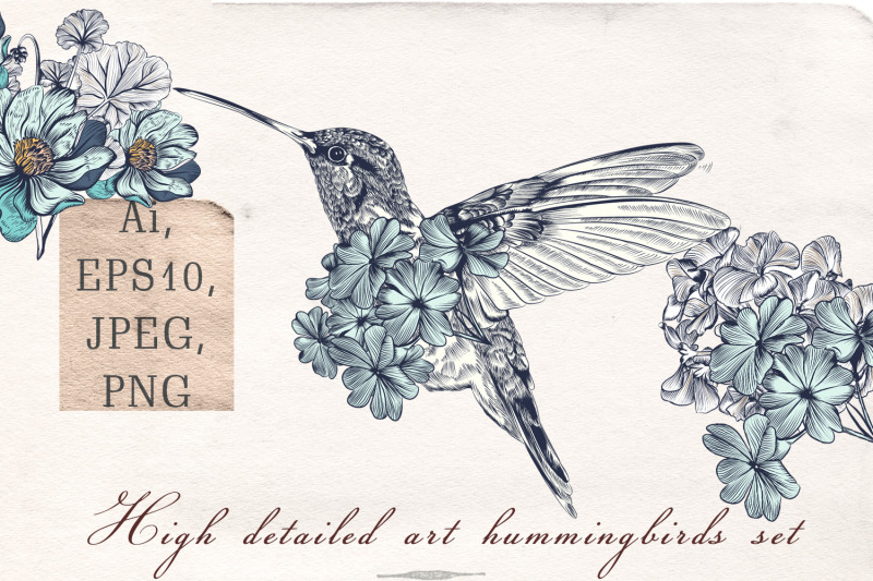 collection-of-vector-hummingbirds-vol-2