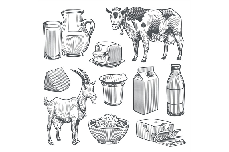 hand-drawn-dairy-products-farm-cow-and-goat-milk-healthy-fresh-produc