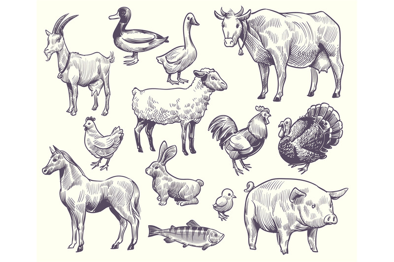 hand-drawn-farm-animals-and-birds-goat-duck-and-horse-sheep-and-cow