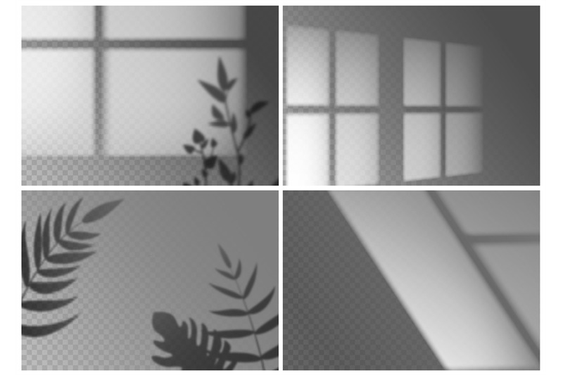realistic-window-shadow-monstera-leaves-palm-branches-and-window-fra