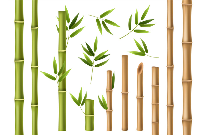 realistic-bamboo-green-and-brown-bamboo-stems-with-leaves-asian-fore