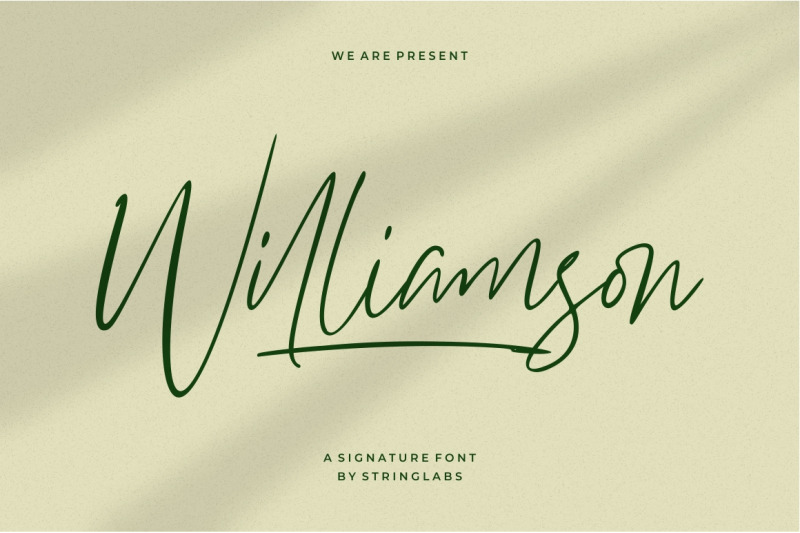 williamson-luxury-signature-font