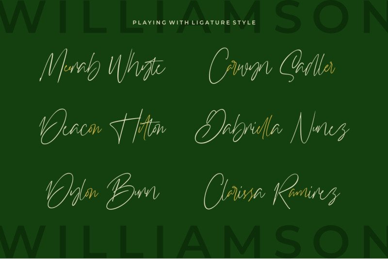 williamson-luxury-signature-font