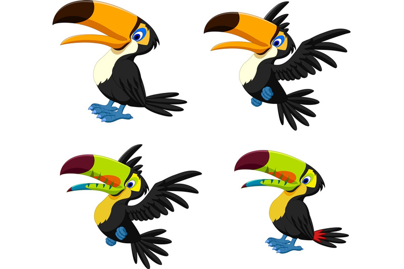 cartoon-toucan-collection
