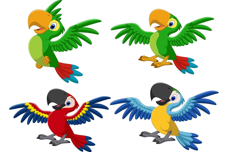 cartoon-macaw-collection