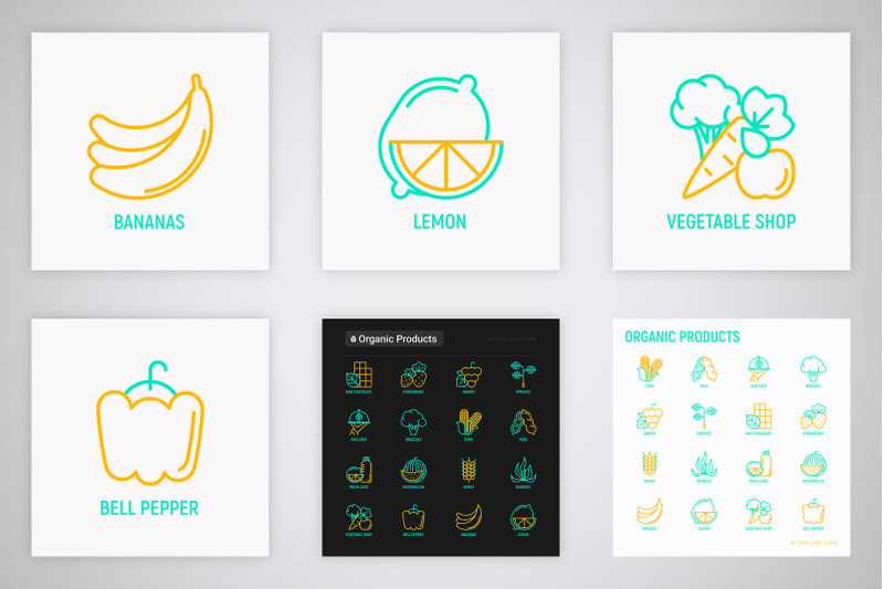 organic-products-16-thin-line-icons-set