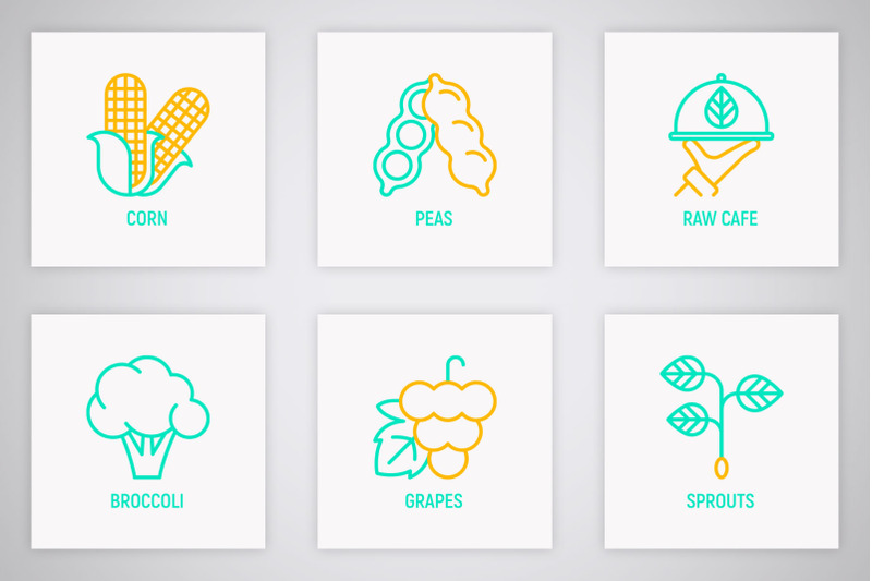 organic-products-16-thin-line-icons-set