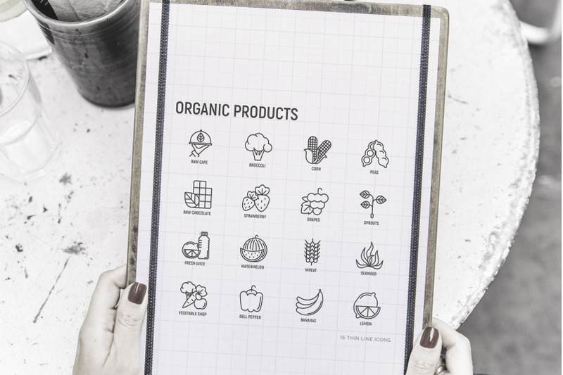 organic-products-16-thin-line-icons-set