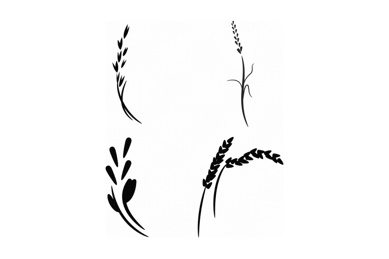 grain-oats-wheat-rice-cereal-svg-dxf-vector-eps-clipart-cricu
