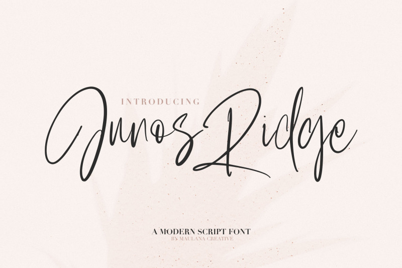 junos-ridge-handwritten-brush-font