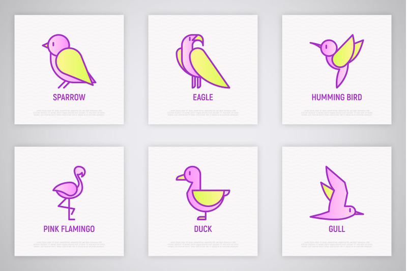 birds-16-thin-line-icons-set