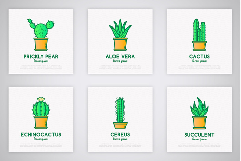 succulents-16-thin-line-icons