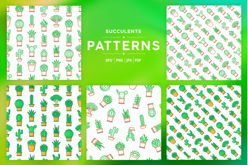 succulents-patterns-collection