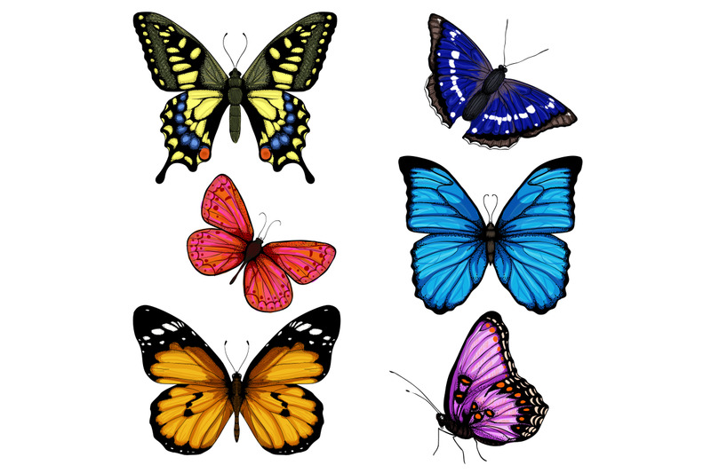 vector-butterfly-hand-drawn-set-colorful-on-white-background