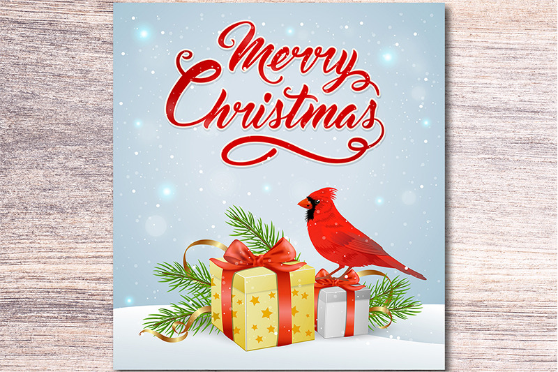 christmas-gift-and-cardinal-bird