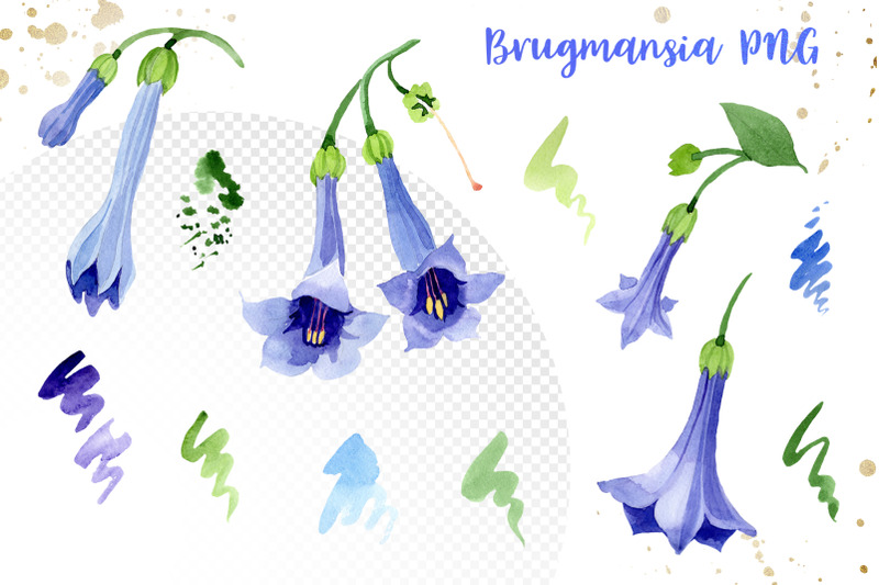 blue-brugmansia-flower-watercolor-png