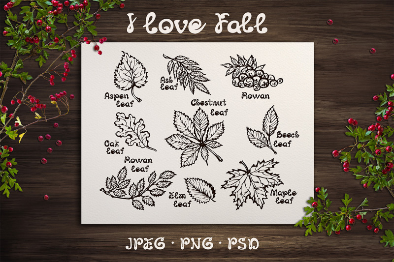 9-hand-sketched-cards-with-fall-leaves