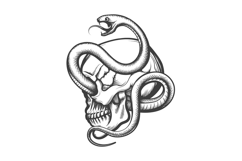 tattoo-of-human-skull-in-side-view-entwined-by-snake-drawn-in-engravin