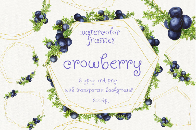 crowberry-watercolor-set-illustrations