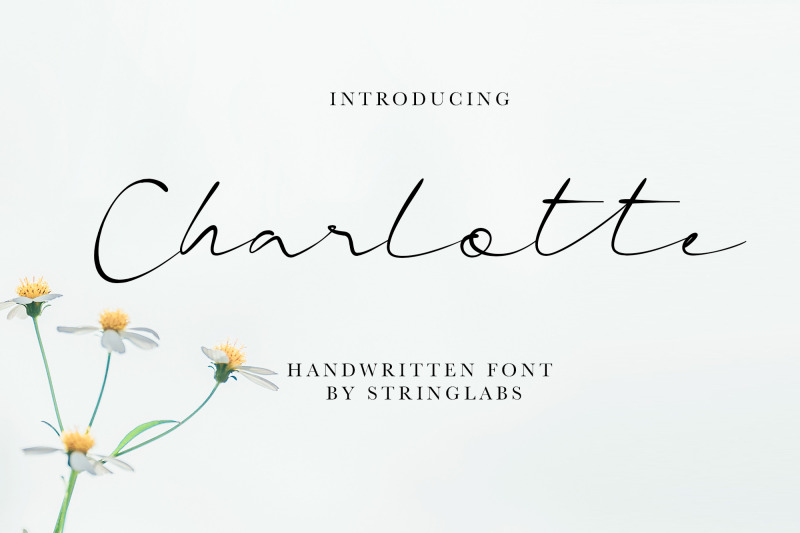 charlotte-casual-handwritten-font