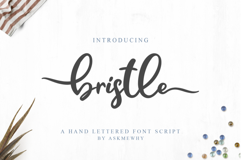 Bristle Font Script By Askmewhy | TheHungryJPEG
