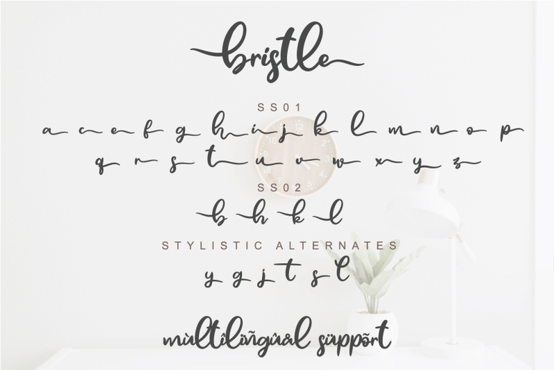 bristle-font-script